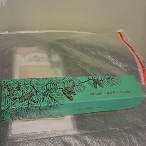 Canada Pine Cone Soap in Green Box
